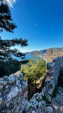 Çiçek kıyı manzarası. Yüksek kalite fotoğraf