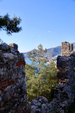 Çiçek kıyı manzarası. Yüksek kalite fotoğraf