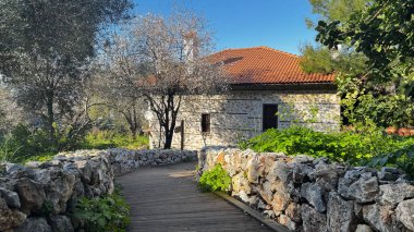 Çiçek açan ağaç sokağı. Eski taş ev. Yüksek kalite fotoğraf