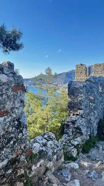 Çiçek kıyı manzarası. Yüksek kalite fotoğraf