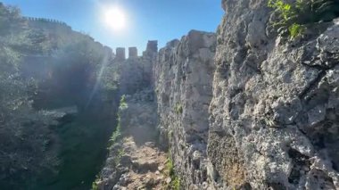 Çiçek kıyı manzarası. Yüksek kalite fotoğraf