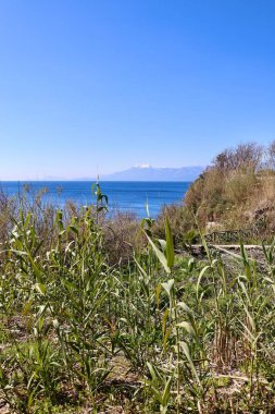 Okyanus yamacı yolu. Yüksek kalite fotoğraf
