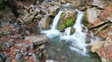 Akarsu ormanı kayaları. Fpv İHA Sonbaharda Dağ Nehri
