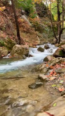 Akarsu ormanı kayaları. Fpv İHA Sonbaharda Dağ Nehri