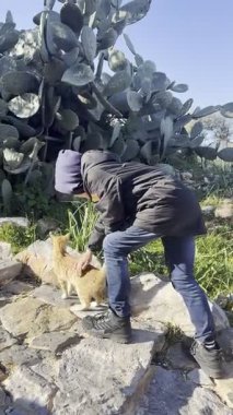 Kedi dışarıda güneşin tadını çıkarıyor.