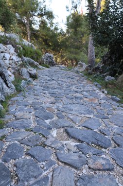 Parktaki taş yol. Yüksek kalite fotoğraf