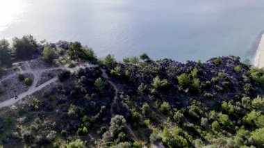 Sahildeki yamaçtaki bitki örtüsü. Kablolu araba yolculuğu. Yüksek kalite fotoğraf