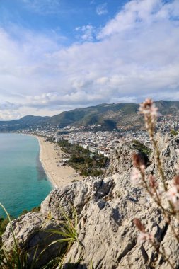 Kıyı ormanı kayalıkları. Turkuaz su
