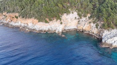 Kayalık okyanus manzaralı. Kıyı ormanı uçurumu. Turkuaz su