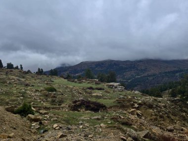 Dağlık kayalık yol. Yüksek kalite fotoğraf