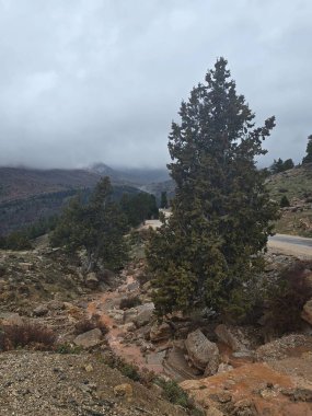 Dağlık çamurlu dere. yağmur suyu, koşullar, toprak, çamur,