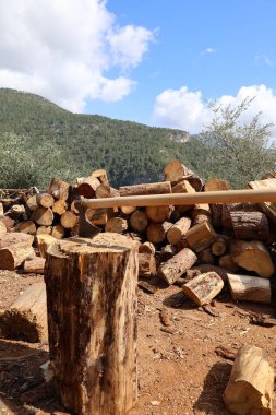 Kesik kütükler yığılmış. Bahçede odun kırın.