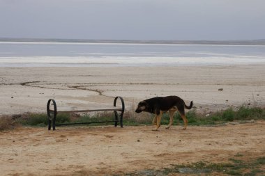 Yukarıdan Salt Lake manzarası. Turistik cazibe