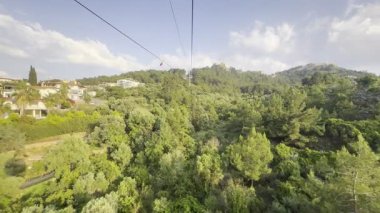 Orman bayrağı. Yüksek kalite 4k görüntü