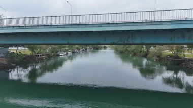 Nehir ağaçları köprüsü. Yüksek kalite 4k görüntü