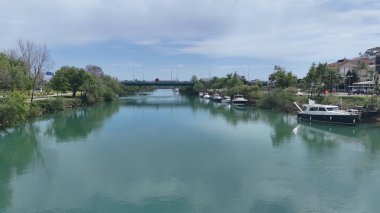 Nehir ağaçları köprüsü. Yüksek kalite 4k görüntü
