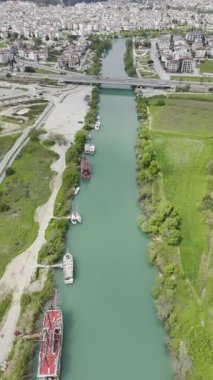 Sakin nehir manzarası. Nehir ağaçları köprüsü. Yüksek kalite 4k görüntü