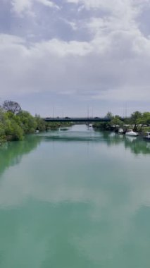 Nehir ağaçları köprüsü. Yüksek kalite 4k görüntü