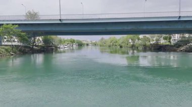 Sakin nehir manzarası. Nehir ağaçları köprüsü. Yüksek kalite 4k görüntü