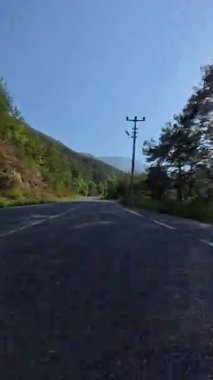 Güneşli yol ağaçları. Yüksek kaliteli FullHD görüntüler