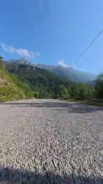 Güneşli yol ağaçları. Yüksek kaliteli FullHD görüntüler