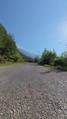 Güneşli yol ağaçları. Yüksek kaliteli FullHD görüntüler