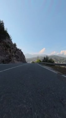 Güneşli yol ağaçları. Yüksek kaliteli FullHD görüntüler