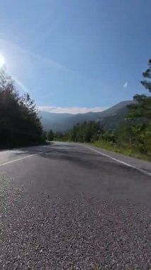 Güneşli yol ağaçları. Yüksek kaliteli FullHD görüntüler