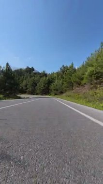 Güneşli yol ağaçları. Yüksek kaliteli FullHD görüntüler