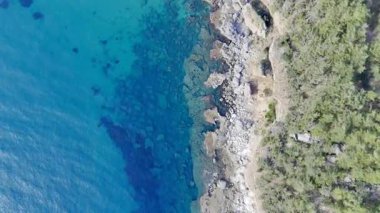 Kıyı ormanı kayalıkları. Turkuaz su