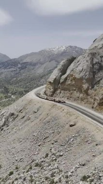 Önde gelen koyunlar. Koyun Dağı Yolu Yüksek Kaliteli FullHD görüntüleri