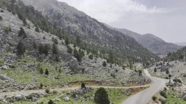 Toprak yol manzarası. Yüksek kaliteli FullHD görüntüler