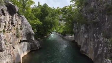 Nehir yemyeşil kanyon. Nehir dar kanyon. Yüksek kalite 4k görüntü