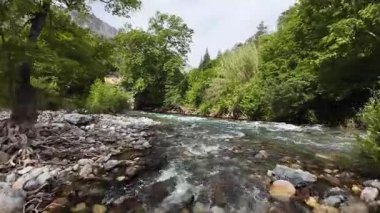 Nehir dar kanyon. Yüksek kalite 4k görüntü