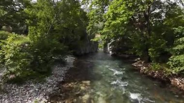 Nehir dar kanyon. Yüksek kalite 4k görüntü