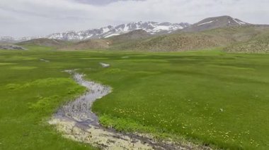 Nehir dar kanyon. Yüksek kalite 4k görüntü