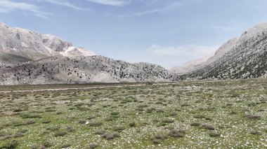 Dağ yolu. Yüksek kalite 4k görüntü