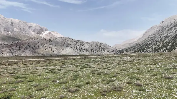 Dağ yolu. Yüksek kalite 4k görüntü