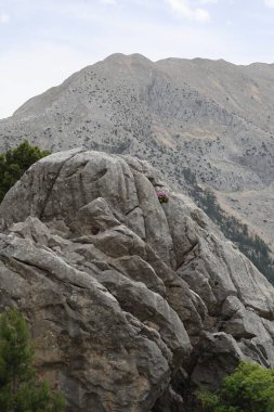 Rocky Dağı manzarası. Yüksek kalite fotoğraf