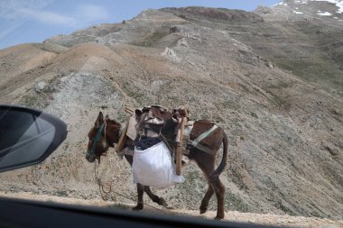Eşeğe liderlik eden adam. Eşek güneşli dağlar. Yüksek kalite fotoğraf