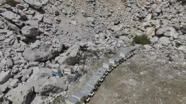 Rocky Hillside arı kovanları. Yüksek kalite 4k görüntü