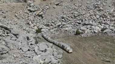 Rocky Hillside arı kovanları. Yüksek kalite 4k görüntü