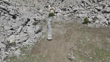 Rocky Hillside arı kovanları. Yüksek kalite 4k görüntü