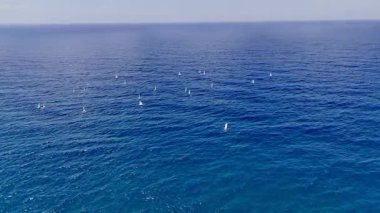 Mavi okyanus ufku. Geniş mavi okyanus. Tekne turkuvaz okyanusu. Yüksek kalite fotoğraf