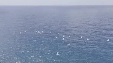 Mavi okyanus ufku. Geniş mavi okyanus. Tekne turkuvaz okyanusu. Yüksek kalite fotoğraf