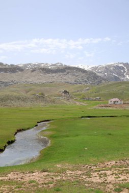 Dağ yeşili manzara. Ufuktaki ilk çimenlikte, karla kaplı dağları sersemleten doğa. Yüksek kalite fotoğraf