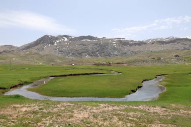 Dağ yeşili manzara. Ufuktaki ilk çimenlikte, karla kaplı dağları sersemleten doğa. Yüksek kalite fotoğraf