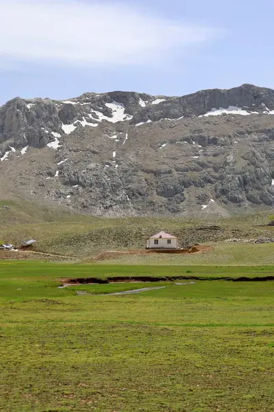 Dağ yeşili manzara. Ufuktaki ilk çimenlikte, karla kaplı dağları sersemleten doğa. Yüksek kalite fotoğraf