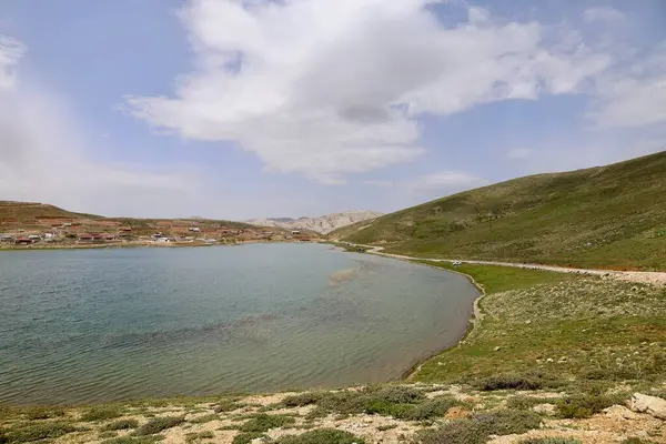 Dağ yeşili manzara. Ufuktaki ilk çimenlikte, karla kaplı dağları sersemleten doğa. Yüksek kalite fotoğraf