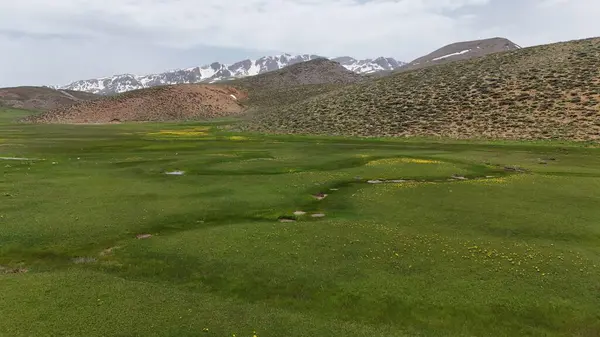 Dağ yeşili manzara. Ufuktaki ilk çimenlikte, karla kaplı dağları sersemleten doğa. Yüksek kalite fotoğraf